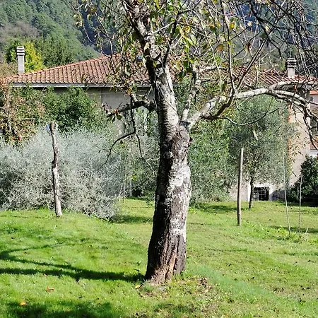 Apartamento Three-bedroom In Iii